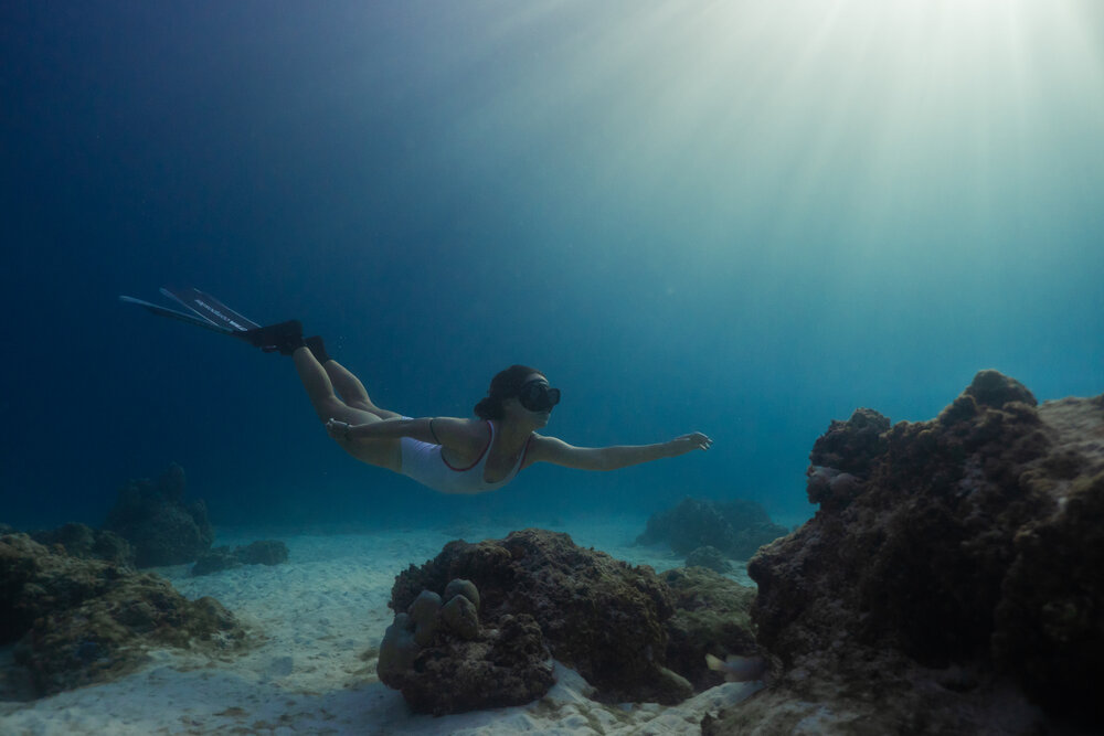 608621-Sophie Walsh_Freediving_Retreat_Avani Plus Barbarons Seychelles_Credit - Sophie Walsh-f7e3b2-original-1756360479.jpeg