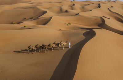 Qasr_Al_Sarab_Desert_Resort_By_Anantara_Recreation_Facility_Activities_Camel_Riding-6093x3982