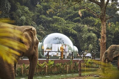 631454-Anantara Day 11235_desat-v2-ccf6cc-original-1764557424.jpg