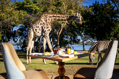 The_Royal_Livingstone_Hotel_by_Anantara_Breakfast_Animals (1)