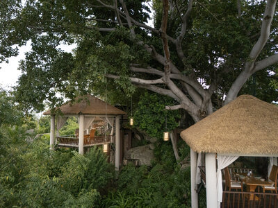 Anantara_Lawana_Koh_Samui_Resort_Restaurant_Tree_Tops_Signature_Dining_Drone_2