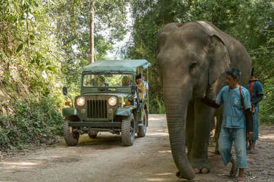Anantara Golden Triangle Elephant Camp & Resort - Jungle Bubble with Elephants