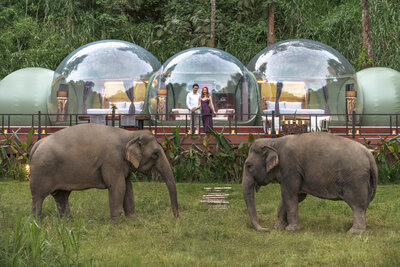 Anantara Golden Triangle Elephant Camp & Resort - Jungle Bubble with Elephants
