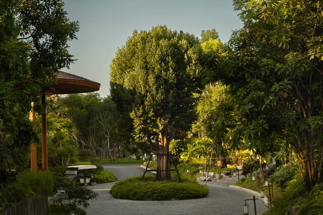 Anantara_Koh_Yao_Yai_Resort_And_Villas_Resort_Amentity_Lobby_Poonsap_Tree