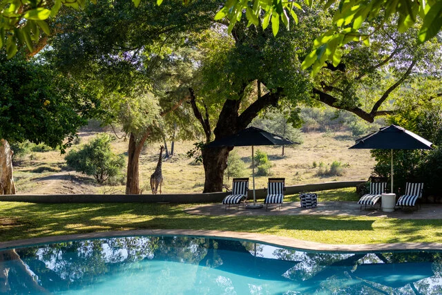 Anantara_Stanley_&_Livingstone_Victoria_Falls_Hotel_Pool_Giraffe