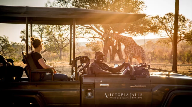 Anantara_Stanley_&_Livingstone_Victoria_Falls_Hotel_Safari_Giraffe