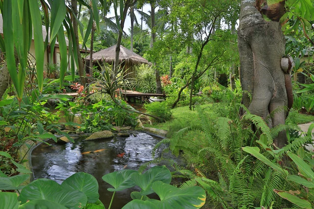 Anantara_Rasananda_Koh_Phangan_Villas_Property_Amenity_Garden-5760x3840