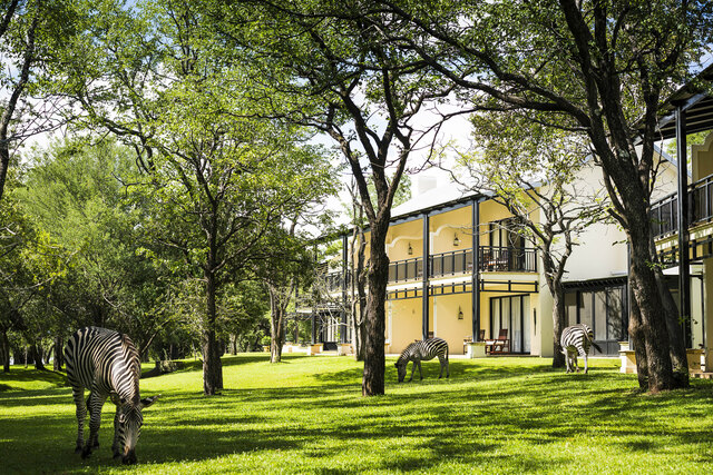 645033-The_Royal_Livingstone_by_Anantara_Exterior_view_Gardens_Zebra (1)-0800fe-original-1770332200.jpg