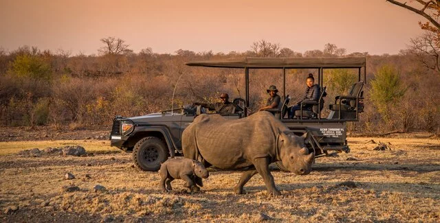 563973-Anantara Stanley & Livingstone Victoria Falls Hotel_Safari-1bc180-original-1731665619