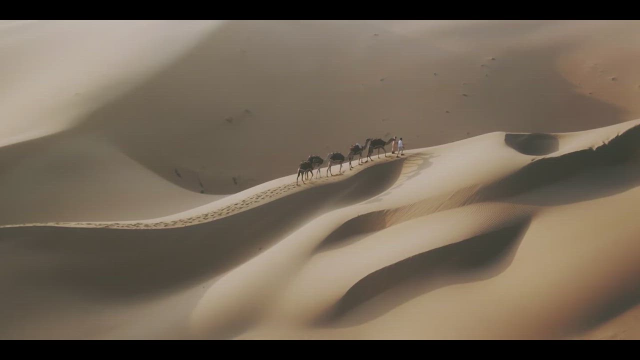 Qasr Al Sarab Desert Resort by Anantara - Activites.mp4