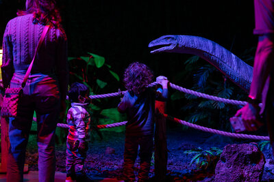 534A9048 33b6dd  67d21a Original