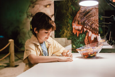 0R0A0011 C1xckz Dfcab8  587fff Original