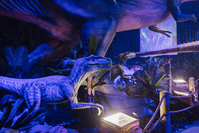 0R0A7975 Vgjhzv 8117b6  0cfbef Original