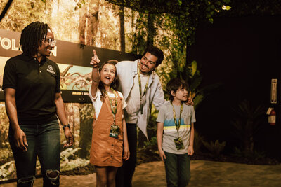 0R0A8154 Lo0wv1   D99d86 Original