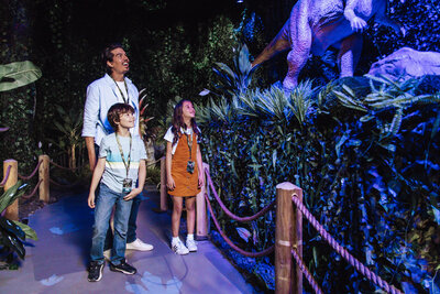 0R0A8695 Bybfct D5c4a8  0b5d0b Original