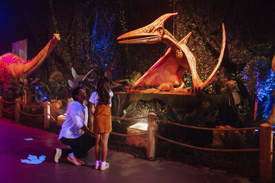 0R0A9034 Gabi0k Fe3afe  C1551f Original