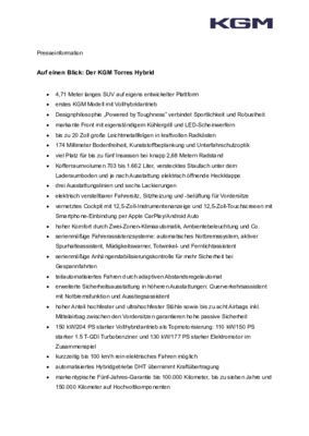 KGM Torres Hybrid - Auf einen Blick