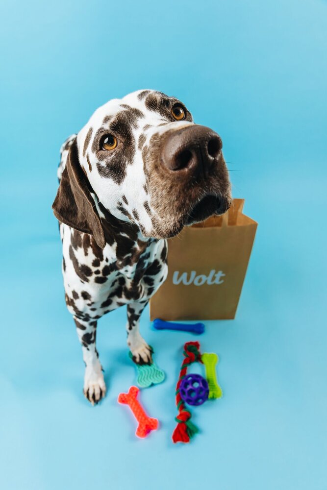 Pawlentine’s Day at WOLT_3.jpg