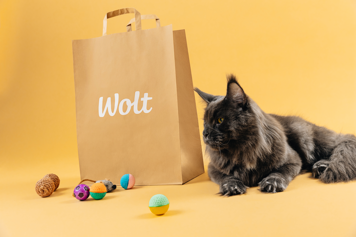 Pawlentine’s Day at WOLT_1.png