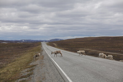 XPENG E-Xperience Nordkap_082