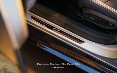 Exclusive Blacked-Out Door Sills