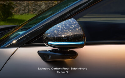 Exclusive Carbon Fiber Side Mirrors