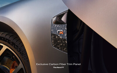 Exclusive Carbon Fiber Trim Panel