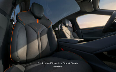Exclusive Dinamica Sport Seats