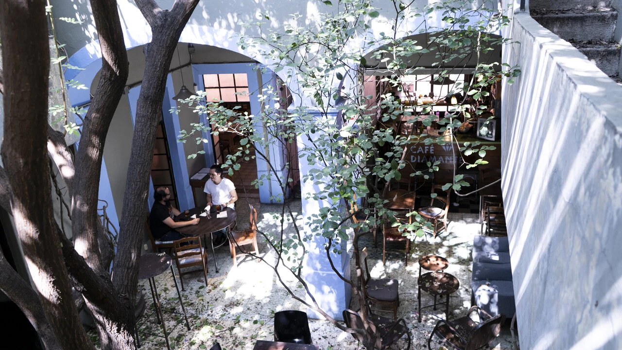 Credit_ Brenda Bejar (1).jpg