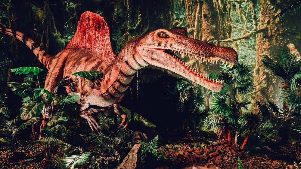 Dino World brengt 55 levensechte dinosaurussen naar Brussel