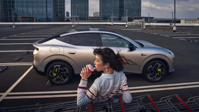 XPILOT ASSIST Parking