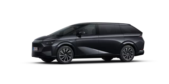 XPENG X9 9223E Black