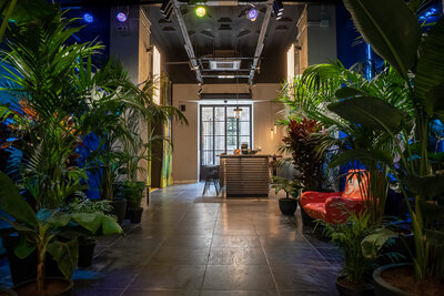 Rome Club Jungle Bar.JPG