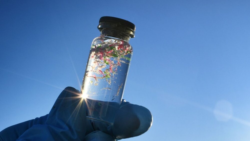 18-Year-Old Student Develops Biodegradable Plastic Designed to Break Down Microplastics in Soil a...