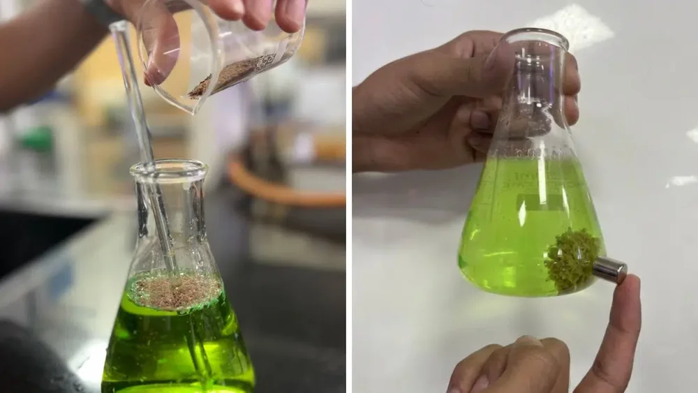 Plas-Stick: Indian students create a biodegradable tamarind powder to remove microplastics from w...