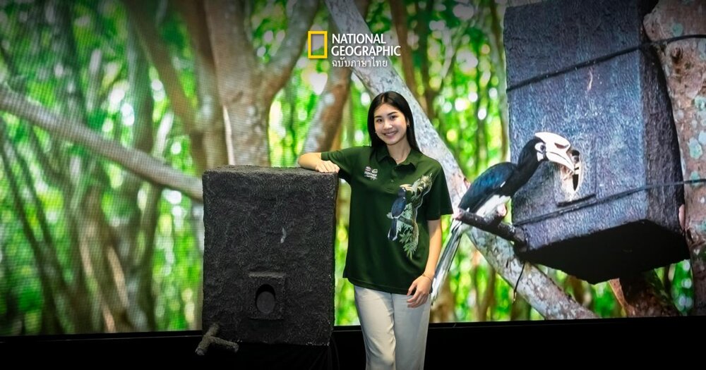Homes for Hornbills - National Geographic Thailand
