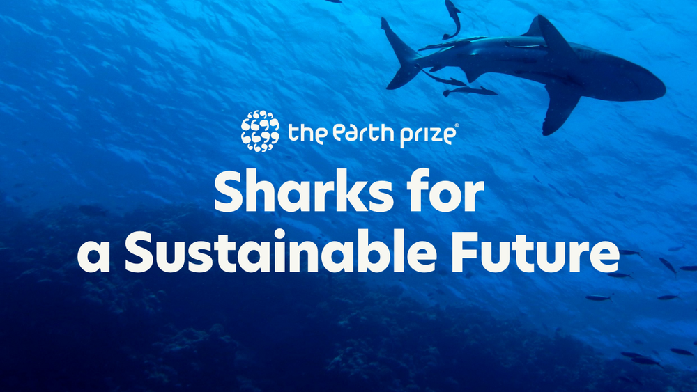 Sharks for a Sustainable Future