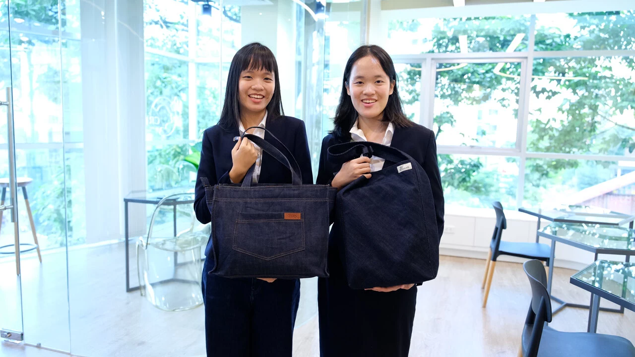 Nguyễn Phương Anh and Nguyễn Lan Anh  
(creators of Fern)