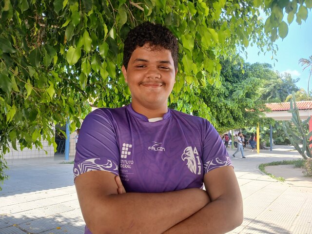 Abelhas solitarias.jpg