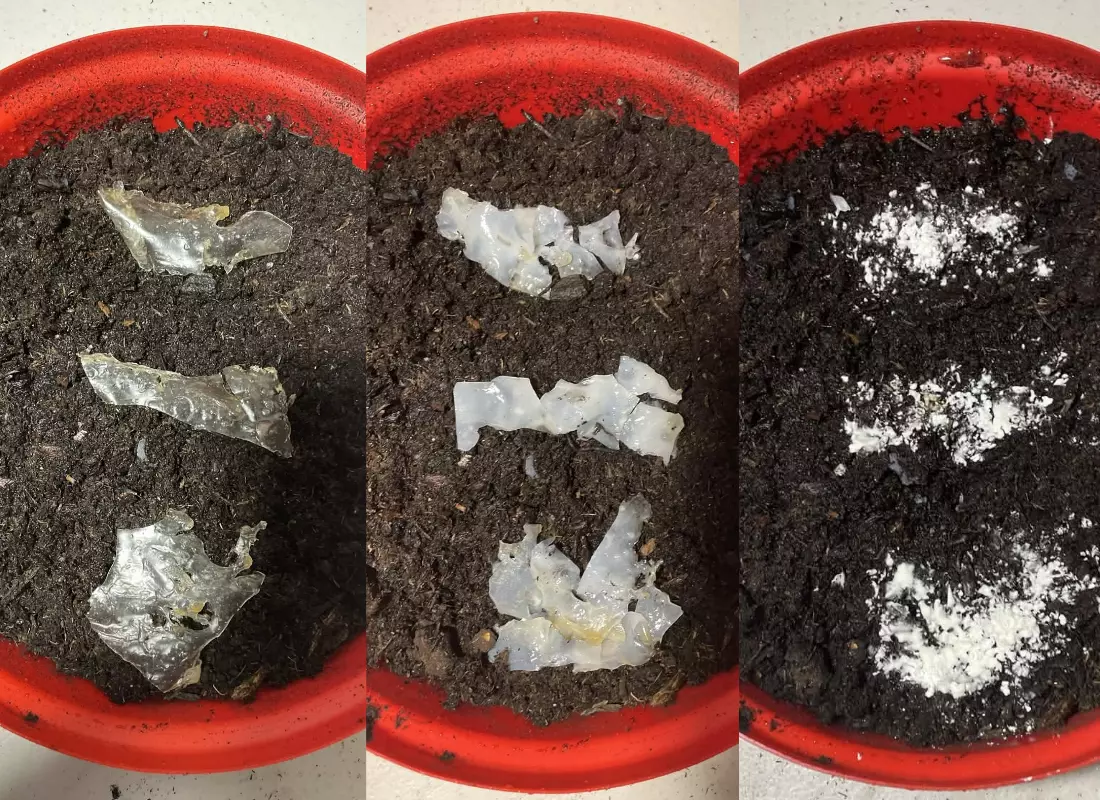 3 phases of biodegradation in soil, which releases the enzyme into the environment and further breaks down microplastics