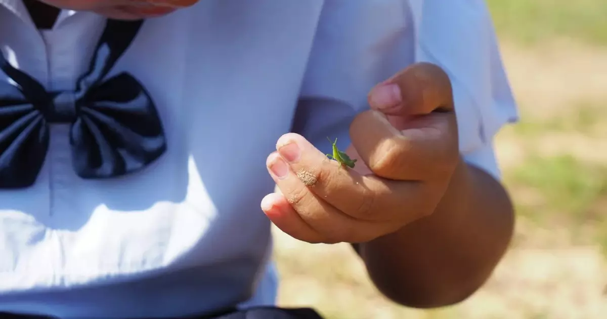 A young student considers the details of a grasshopper.png
