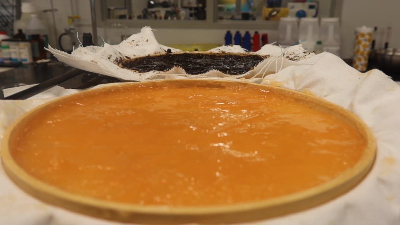 Test fabrics in their molds drying, before being peeled off 1.MP4