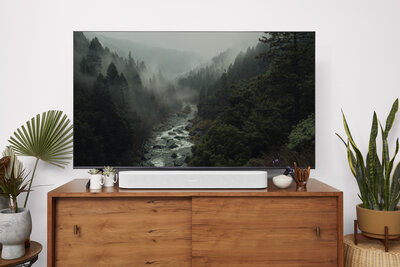 beam-gen2-tv-forest