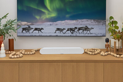 Sonos Holiday - Ray