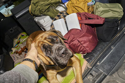 Sonos Play - Car Packing.JPG