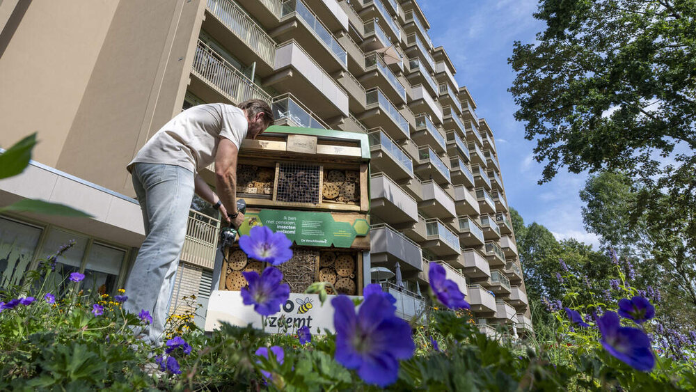 Primeur met tweede leven voor brievenbus in Geleen en Heerlen: 'Hopen op een glimlach bij passanten'