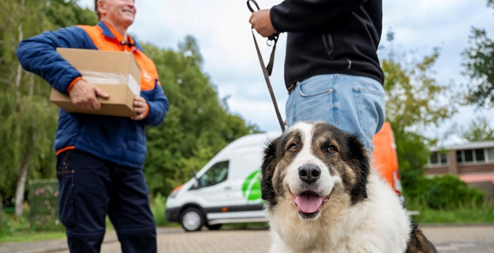 hond-baasje-pakketbezorger.png