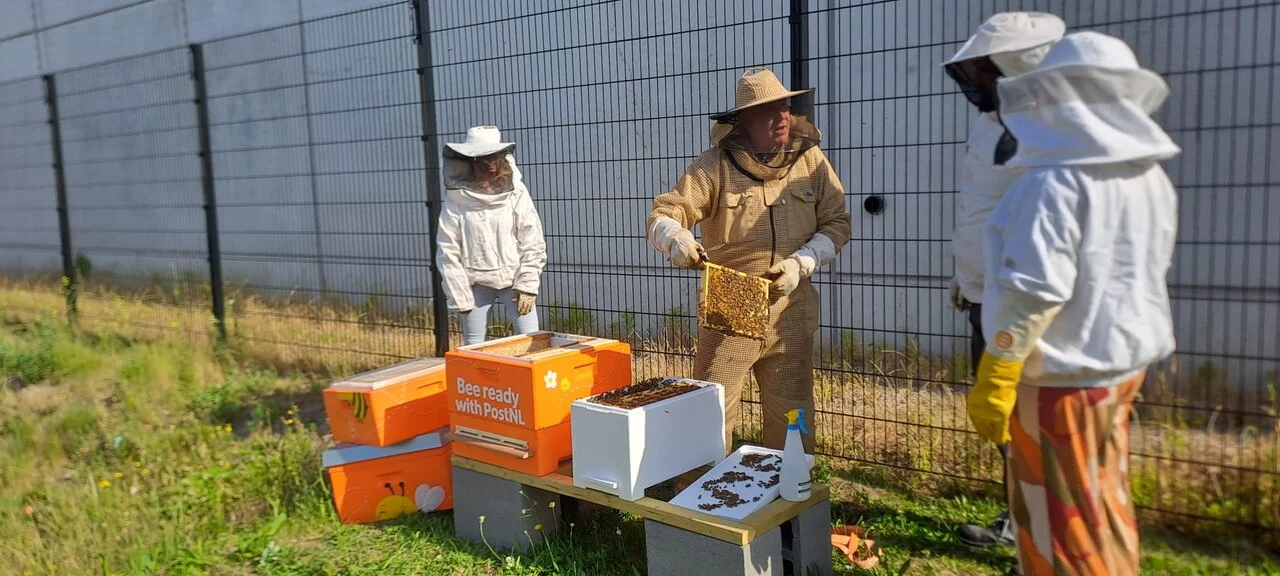leasebees.jpeg