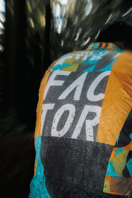 Chico_Action_Kitback