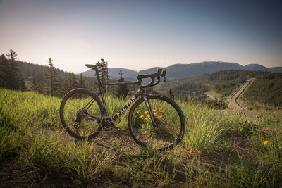 RobPerry_PeeledMedia_Factor_131